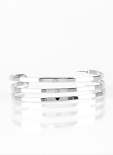 Load image into Gallery viewer, Pacific Plate Silver Custom Set