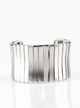 Load image into Gallery viewer, Metro Mane Bold and Silver Custom Set