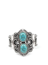 Load image into Gallery viewer, Evolution Turquoise Custom Set