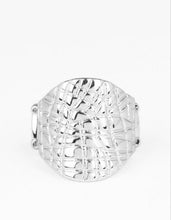 Load image into Gallery viewer, Metallic Muse Silver Custom Set