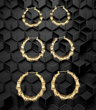 Load image into Gallery viewer, Bamboo Earrings, At Least 3 Pair Hoop Earrings (Set of 3)
