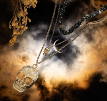 Load image into Gallery viewer, Skull Glam Necklace
