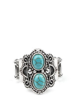 Load image into Gallery viewer, Evolution Turquoise Custom Set
